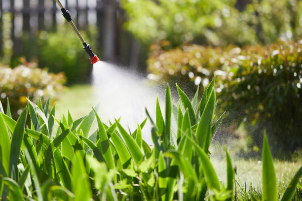24/7 Emergency Mosquito Control experts in Wormleysburg, PA
